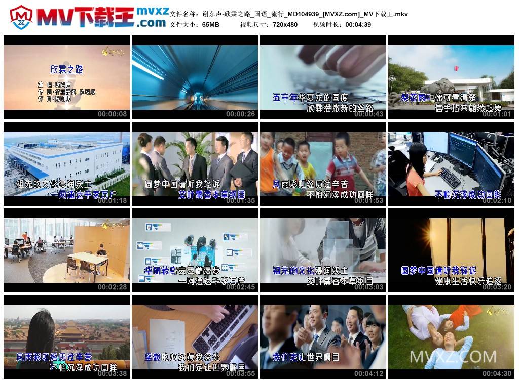 谢东声-欣霖之路_国语_流行_MD104939